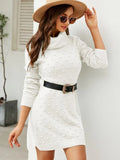 FASHION SOLID COLOR LONG TURTLE NECK SWEATER