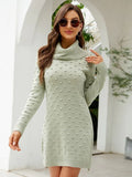 FASHION SOLID COLOR LONG TURTLE NECK SWEATER