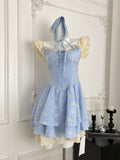 Blue Gingham Dress with Hood & Lace Accents