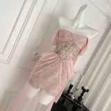 Metallic Corset Pink Strapless Dress
