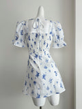 Blue Floral Print Ruffled Trim Short Sleeve Mini Dress