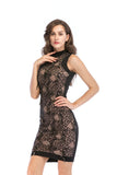 RETRO FRINGED SEQUINED GAUZE DRESS