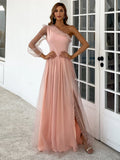 Sheer Sleeve Blush Pink One-Shoulder Gown