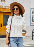 STYLISH COARSE TWIST CASUAL SHORT LOOSE TURTLE NECK SWEATER