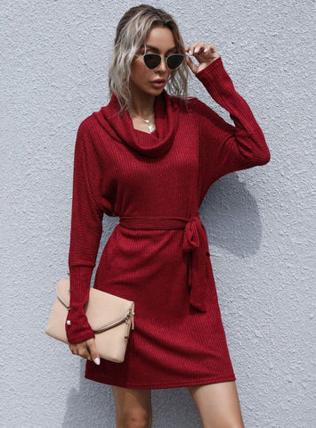 STYLISH PILE-COLLAR LONG SLEEVE SWEATER DRESS