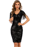 SEXY RETRO FRINGED SEQUINED DRESS