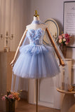 Blue Flower Sweetheart Beading Butterfly Homecoming Dress