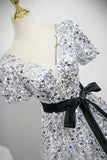Silver Sequin A Line V Neck Short Sleeves Prom Dress