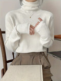 Long Sleeve Versatile Turtle Neck Pullover Sweater