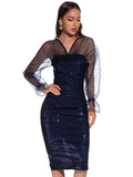 SEXY RETRO MESH LONG SLEEVE SEQUINED DRESS