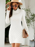 FASHION SOLID COLOR LONG TURTLE NECK SWEATER
