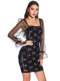 MESH LONG SLEEVE SEQUINED DRESS