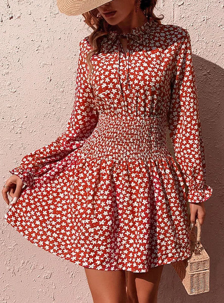LONG SLEEVE TIE WAIST PRINTED DRESS