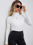 FASHION HIGH ELASTIC SLIM HIGH NECK SWEATER