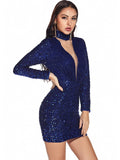 RETRO LONG-SLEEVED HIGH NECK SEQUINED DRESS