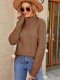 FASHION TURTLENECK TWIST SOLID COLOR KNITTED SWEATER