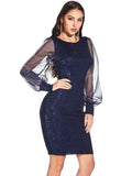 MESH STITCHING SEQUINED LONG SLEEVE DRESS