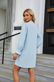 SOLID COLOR V-NECK LOOSE LONG SLEEVE DRESS