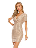 V-NECK RETRO SEQUINED DRESS