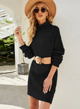 STYLISH KNITTED LONG-SLEEVED TURTLE BECK SWEATER DRESS