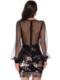 SEXY MESH LONG SLEEVE SEQUINED DRESS