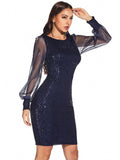 MESH STITCHING SEQUINED LONG SLEEVE DRESS