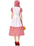 STYLISH FRANCE RED AND WHITE PLAID BEER FESTIVAL FARM DRESS