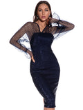 SEXY RETRO MESH LONG SLEEVE SEQUINED DRESS