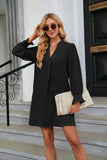 SOLID COLOR V-NECK LOOSE LONG SLEEVE DRESS