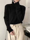 Long Sleeve Versatile Turtle Neck Pullover Sweater