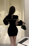 Elegant Black Velvet Dress with Sheer Mesh Inserts
