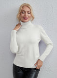 STYLISH FASHION SOLID COLOR TURTLE NECK SWEATER