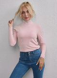 FASHION SOLID COLOR TOP SLIM TURTLE NECK SWEATER