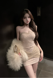 Elegant Strapless Beige Lace Bodycon Mini Dress