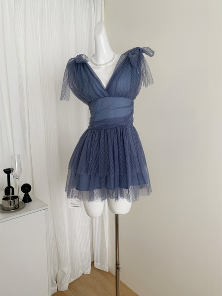 V NecK Navy Blue Mesh Mini Dress