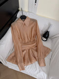 Belted Peplum Elegant Office Style Champagne Silk Shirt