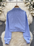 Periwinkle Pinstripe Embroidered Statement Blouse