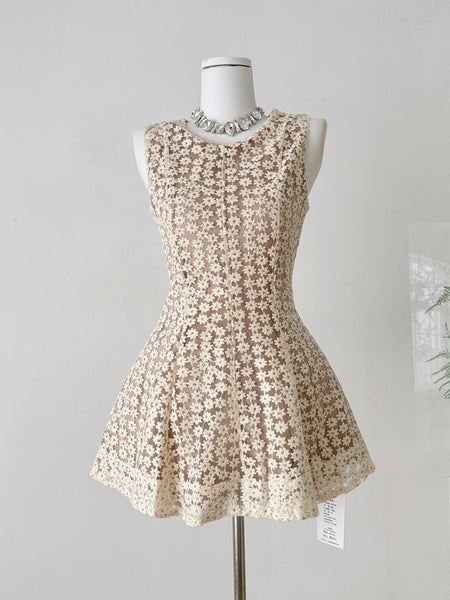 Fit & Flare Beige Floral Lace Dress