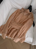 Belted Peplum Elegant Office Style Champagne Silk Shirt