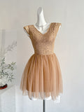 Exquisite Lace V Neck Tulle Mini Dress