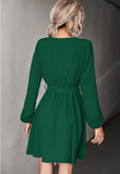 Fashion V-neck Lace Long Sleeve Dress