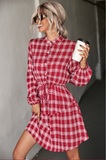 Checked Long Sleeve Shirt Dress