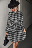 Checked Long Sleeve Shirt Dress