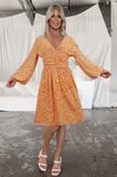 sexy V-neck floral dress