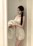 Elegant High - neck Sheer Mesh Lace Bodycon Mini Dress