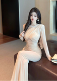 Elegant Long - Sleeve Beige Ruched Mesh Maxi Dress