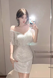 Stylish V - Neck Shimmery Silver Fringe Bodycon Dress