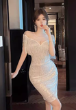 Stylish V - Neck Shimmery Silver Fringe Bodycon Dress