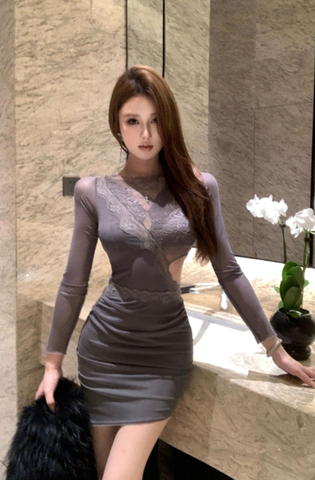 Stylish Mesh - Sleeved Mini Dress with Intricate Lace Insertion