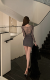 Stylish Mesh - Sleeved Mini Dress with Intricate Lace Insertion